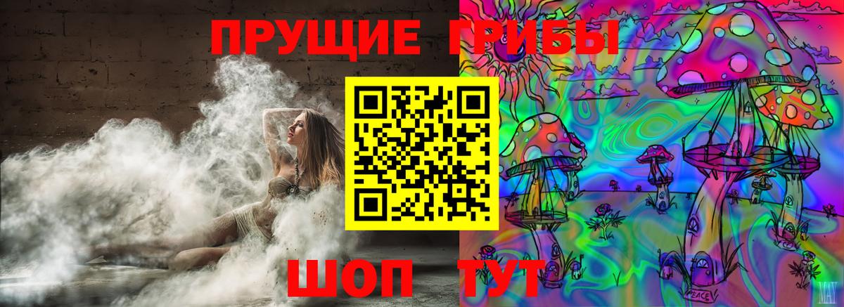 Галлюциногенные грибы Psilocybine cubensis Хабаровск