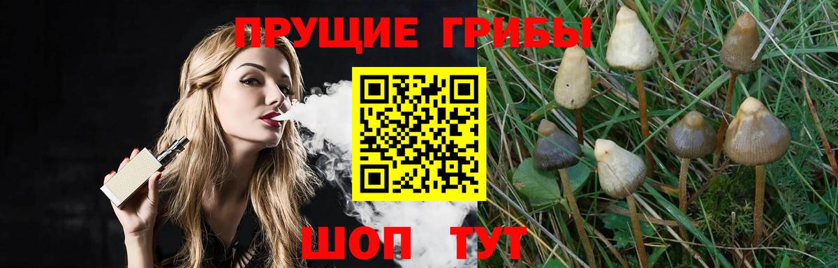 Галлюциногенные грибы мицелий  Вход с VPN  Хабаровск 
